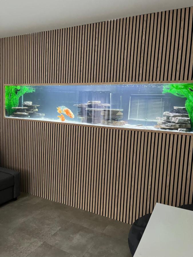 Terfyn Hall Aquarium Apartment 1 Prestatyn Buitenkant foto